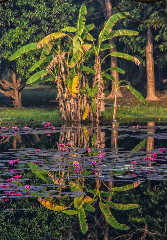 Photograph by Neelesh Jain