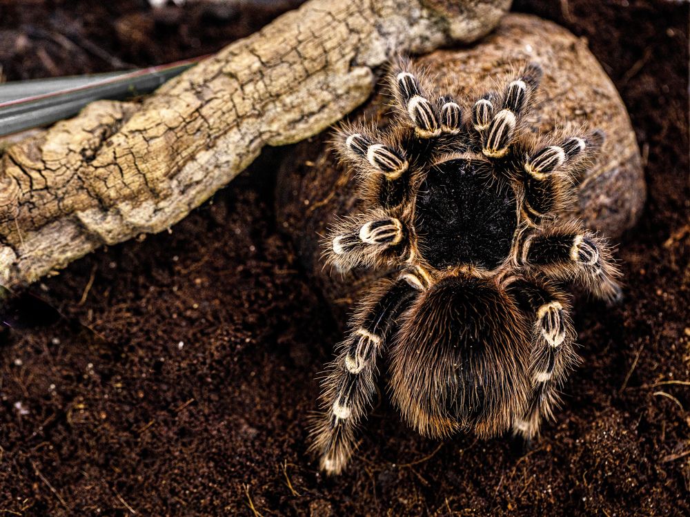 Photograph by Людмила Аксенова