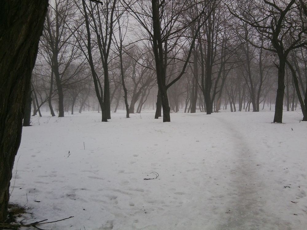 Photograph by Екатерина Истомина