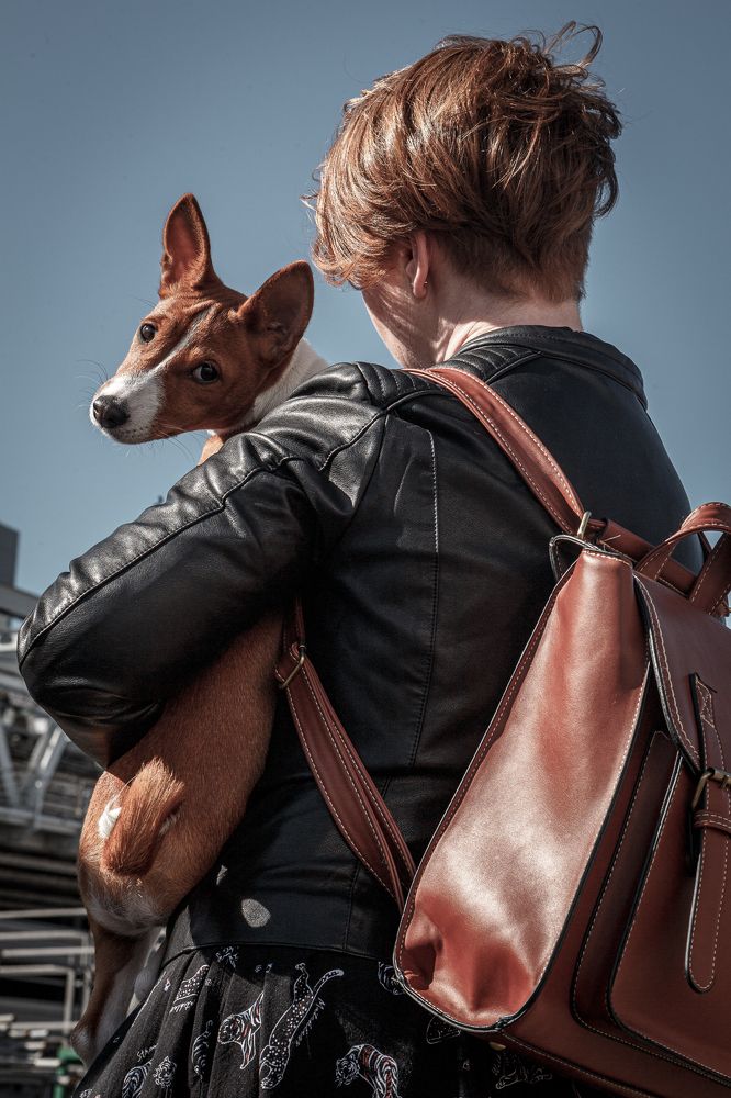 Фотография автора Иван Вострецов