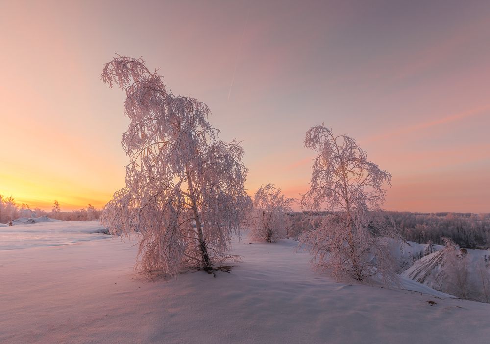 Фотография автора Гарбузов Илья