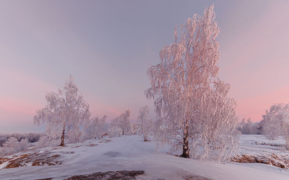 Фотография автора Гарбузов Илья