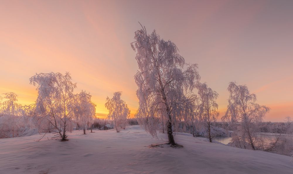 Фотография автора Гарбузов Илья