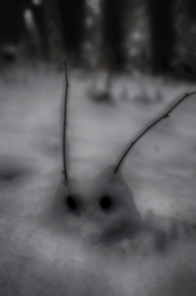 Photograph by Ксения Бочкова