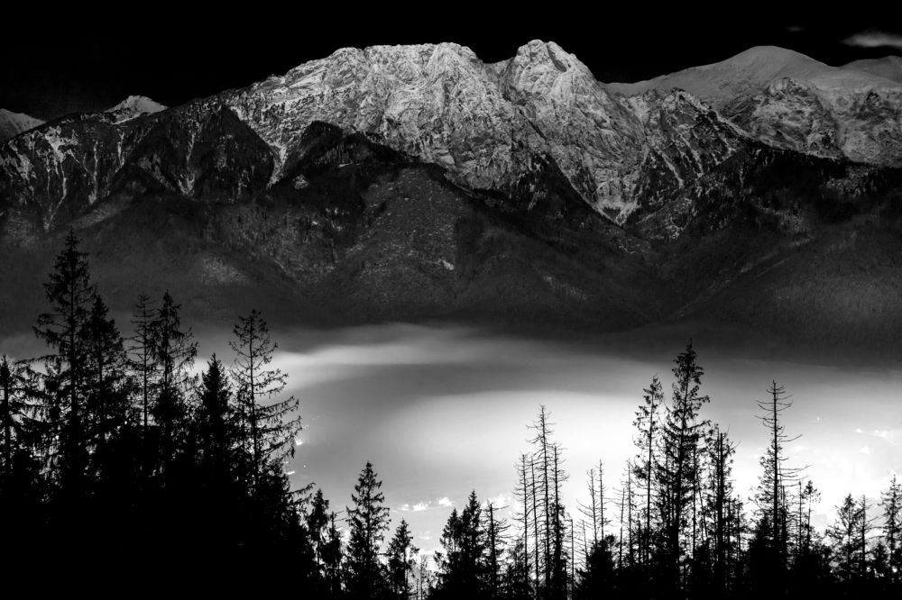 Photograph by Wiktor Baron