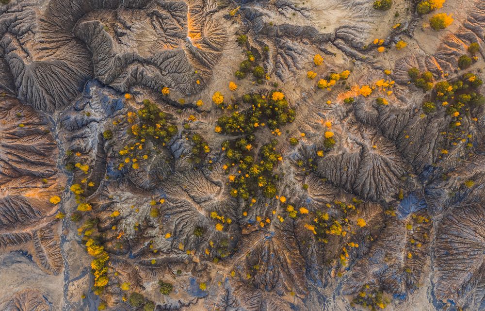 Фотография автора Гарбузов Илья
