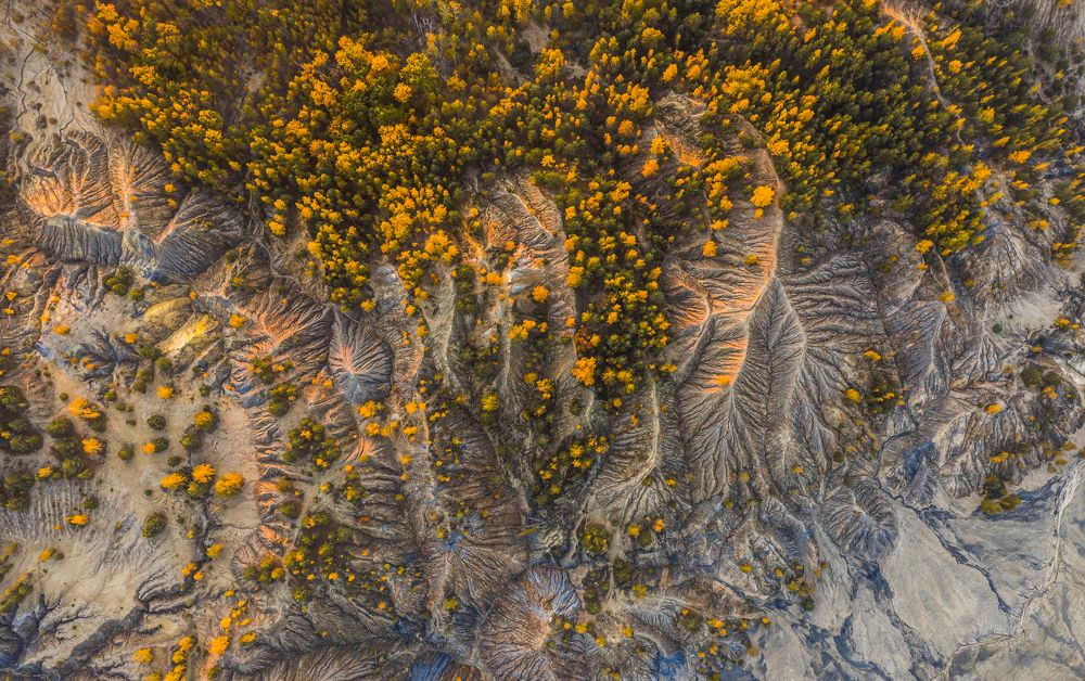 Фотография автора Гарбузов Илья