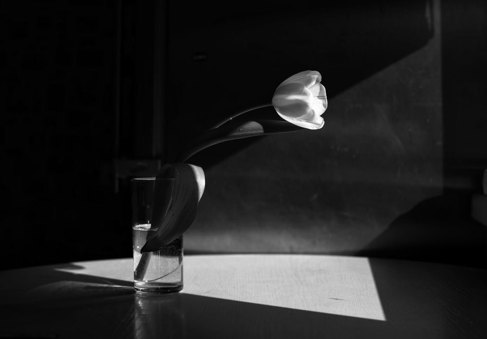 Photograph by Ирина Никитина