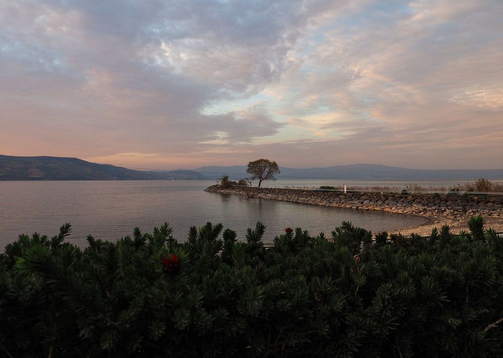 Photograph by Alla Shapochnik