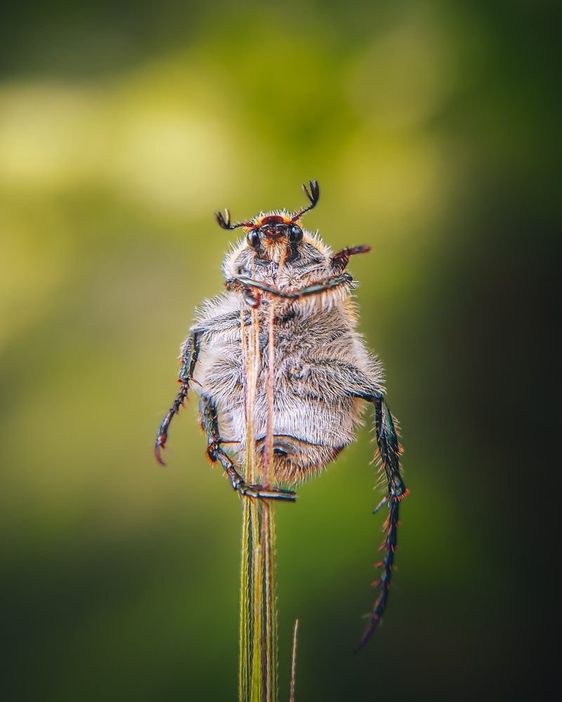 Photograph by Сергей Колос