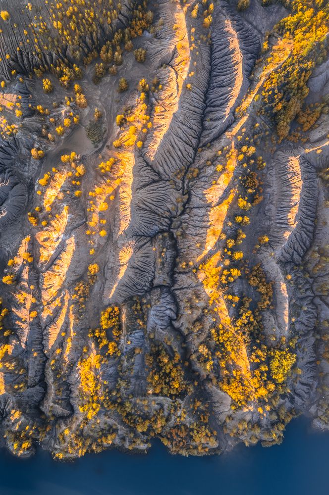 Фотография автора Гарбузов Илья