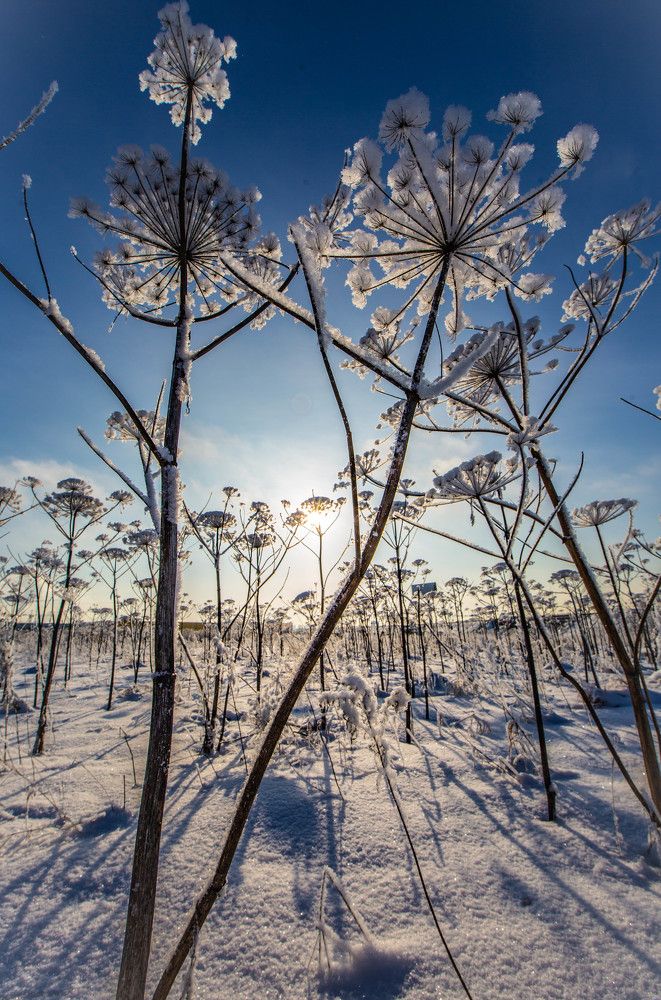 Photograph by Ольга Сафронова