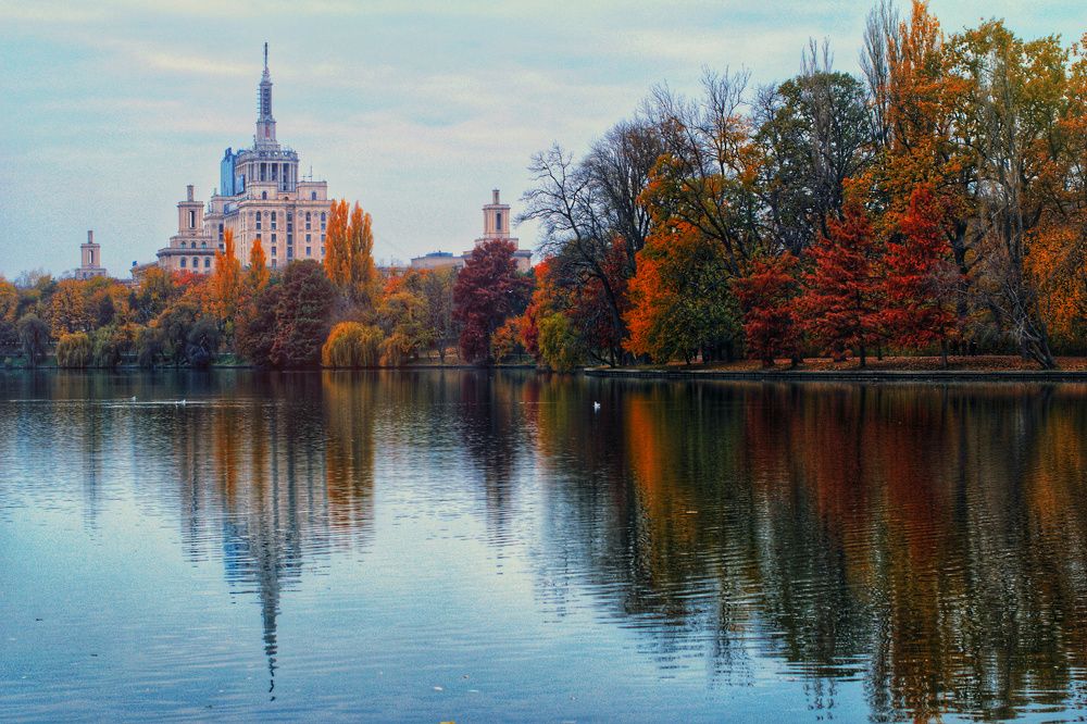 Photograph by Sarageaua Cristina