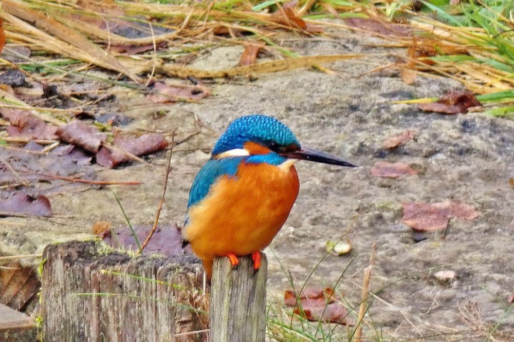 Photograph by backareva irina