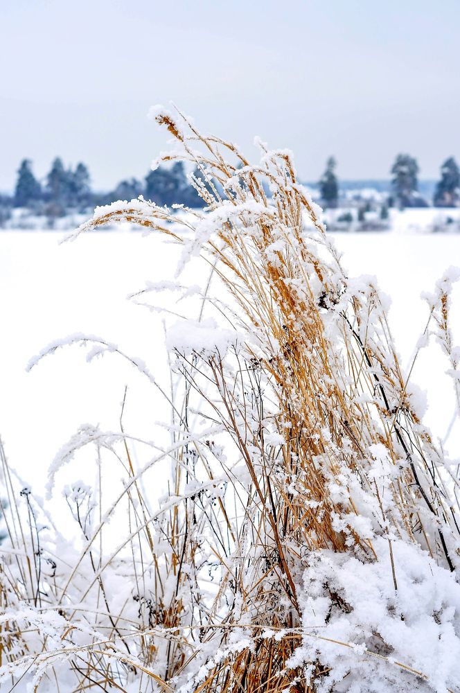 Photograph by Юрий Бичеров