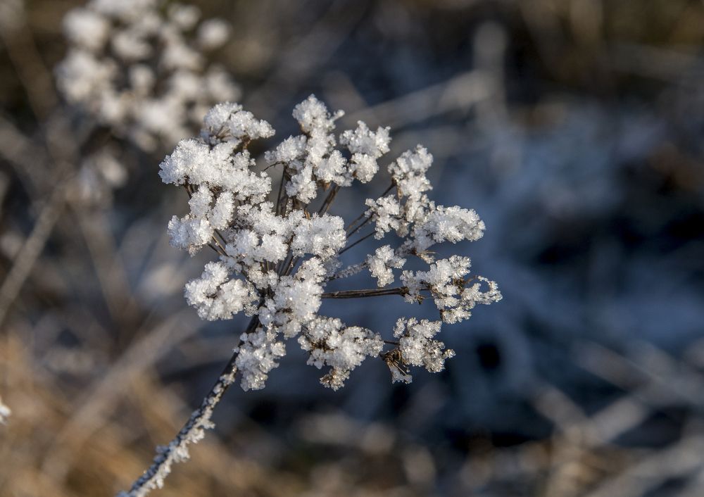 Photograph by Юрий Бичеров