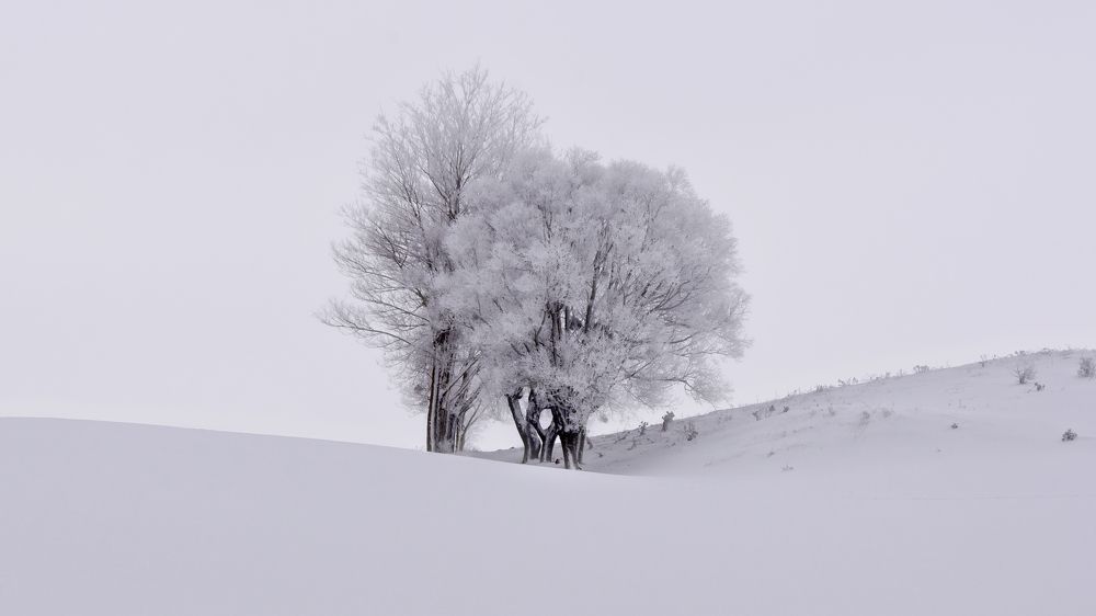 Photograph by Arif Unsal