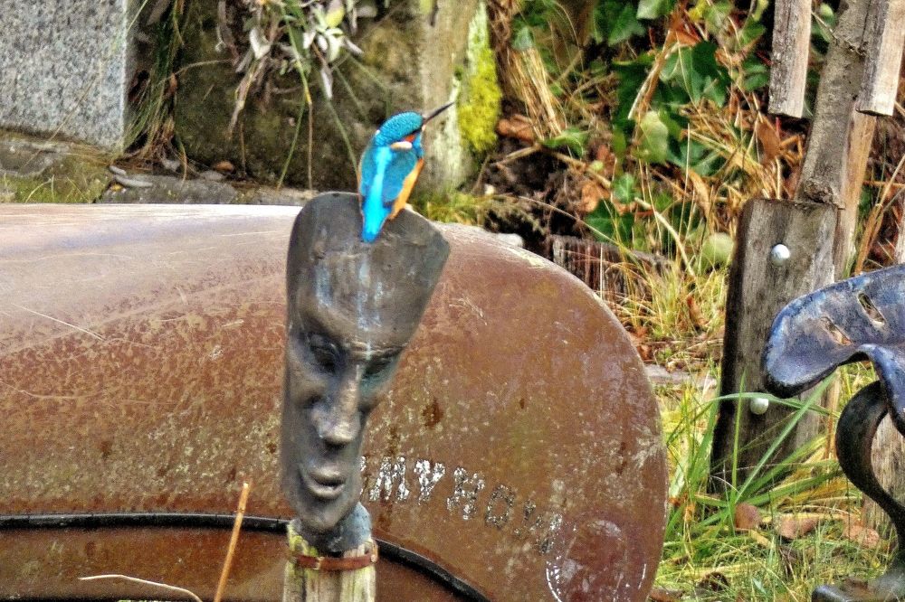 Photograph by backareva irina