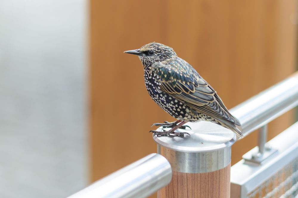 Photograph by Юрий Бичеров