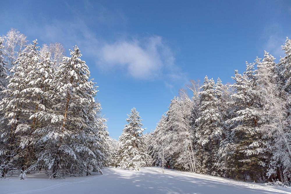 Фотография автора Andrey Pristyazhnyuk