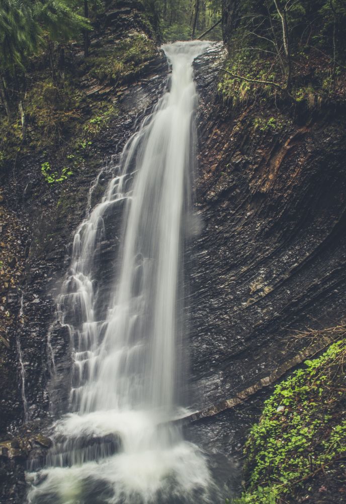 Photograph by 