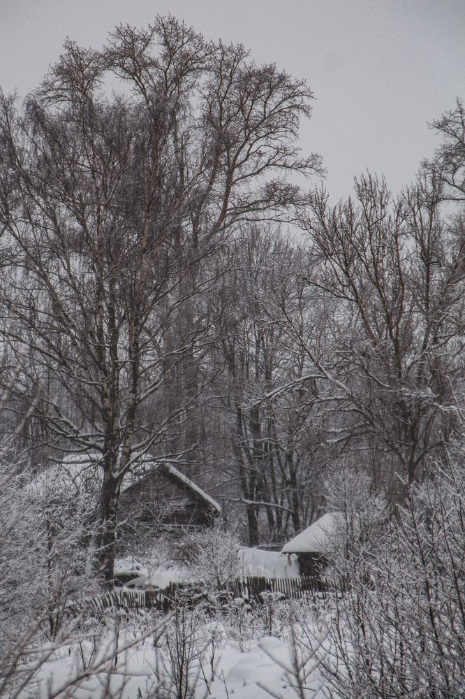 Photograph by Фёдор Викторов