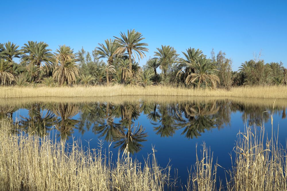 Photograph by Ольга Ларизадех