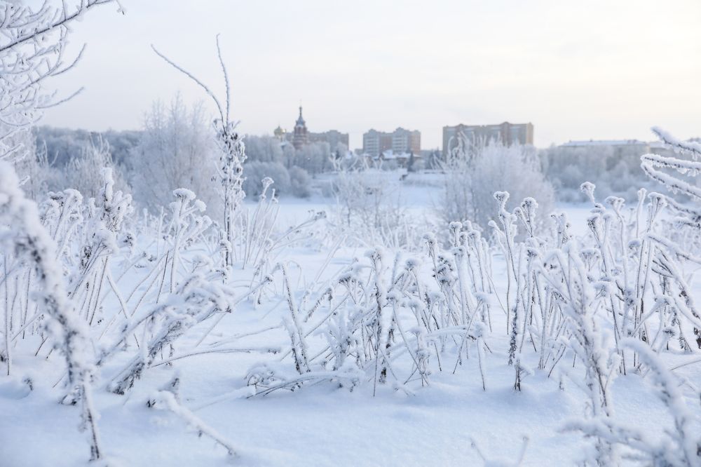 Photograph by Михаил