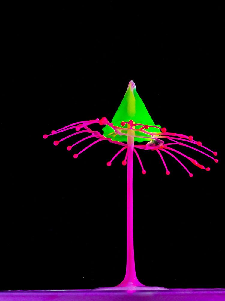 Photograph by B. BoNo Novosad