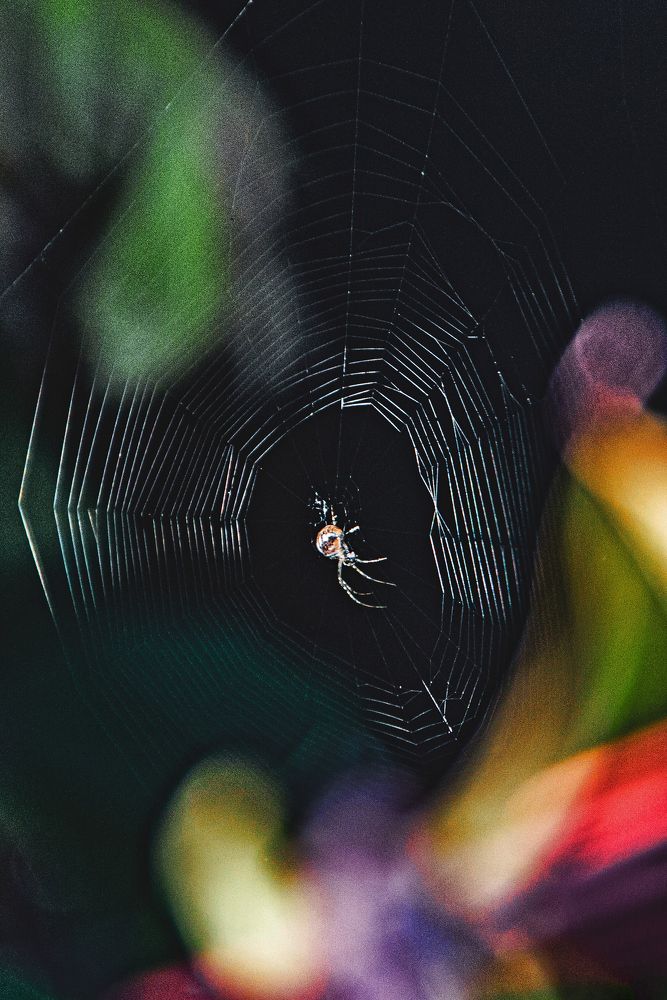 Photograph by Фёдор Викторов