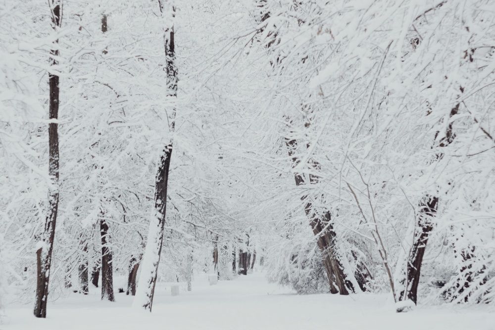 Photograph by Алёна Бондаренко