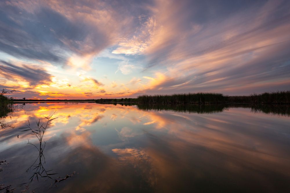 Photograph by Кобец Дмитрий