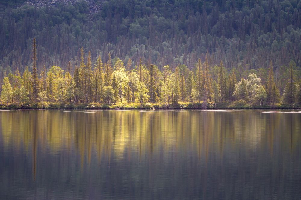 Photograph by Кобец Дмитрий