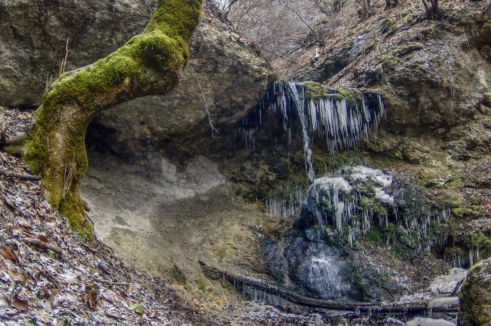 Photograph by Евгений Киселев