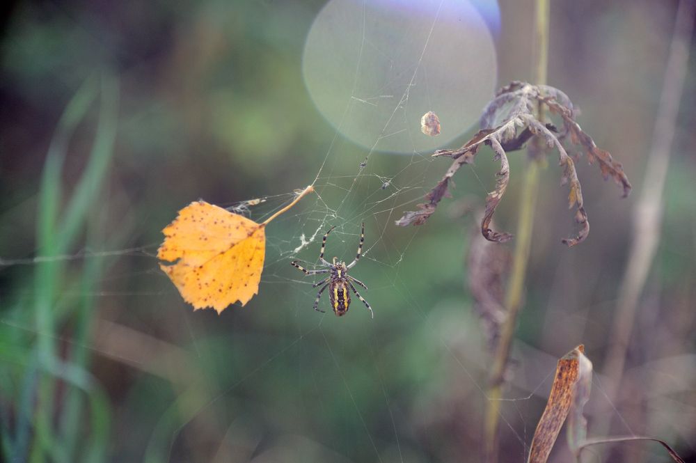 Photograph by Михаил