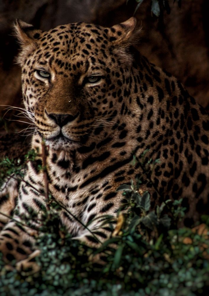 Photograph by Werner