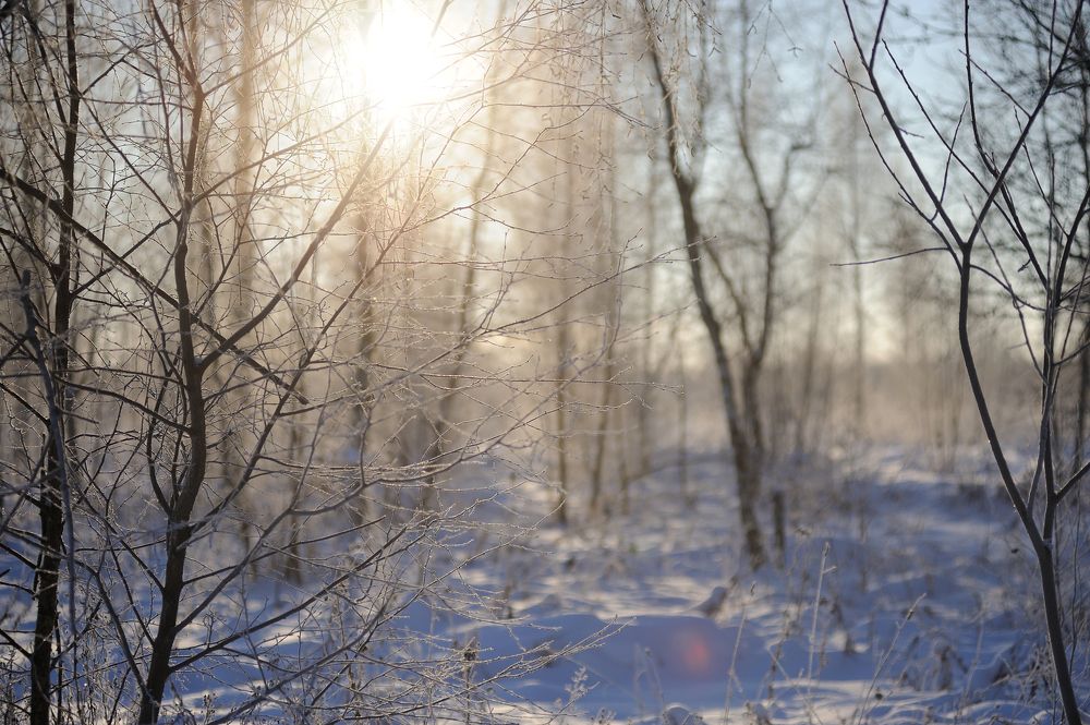 Photograph by Михаил