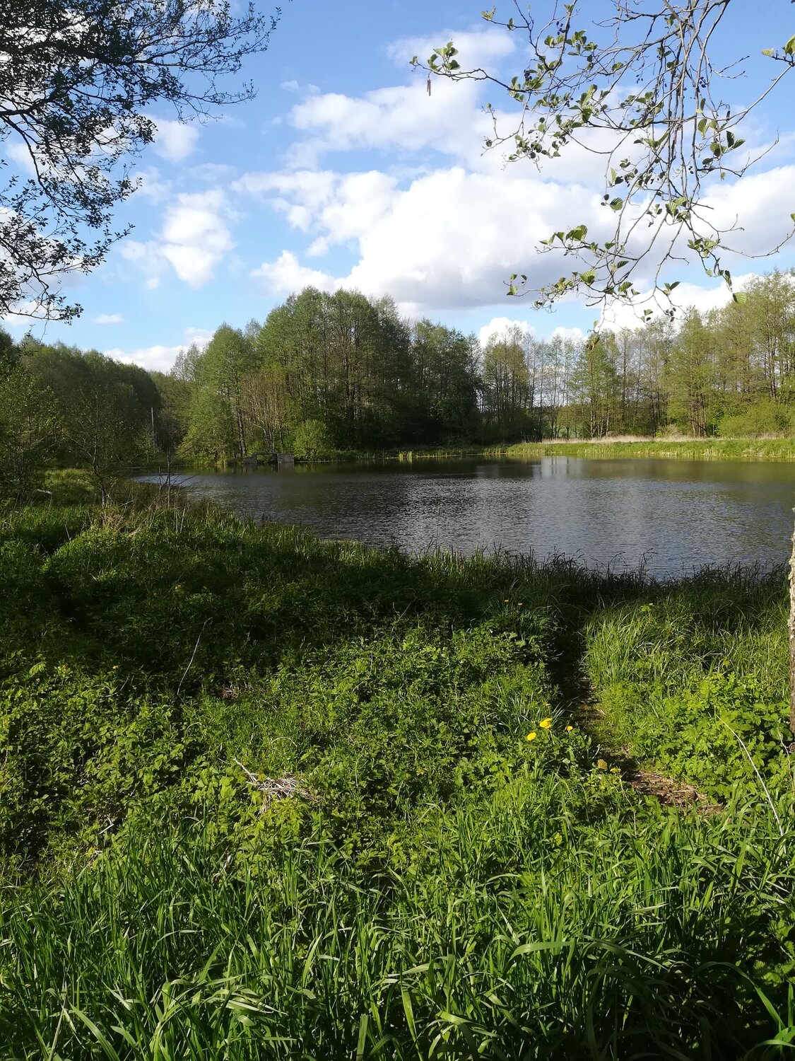 Photo #6949902
