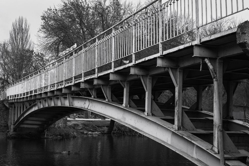 Photograph by Анна Хазова