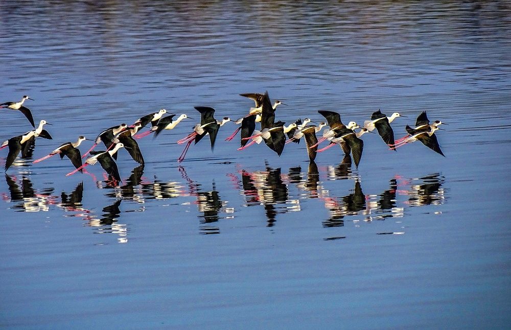 Photograph by Neelesh Jain