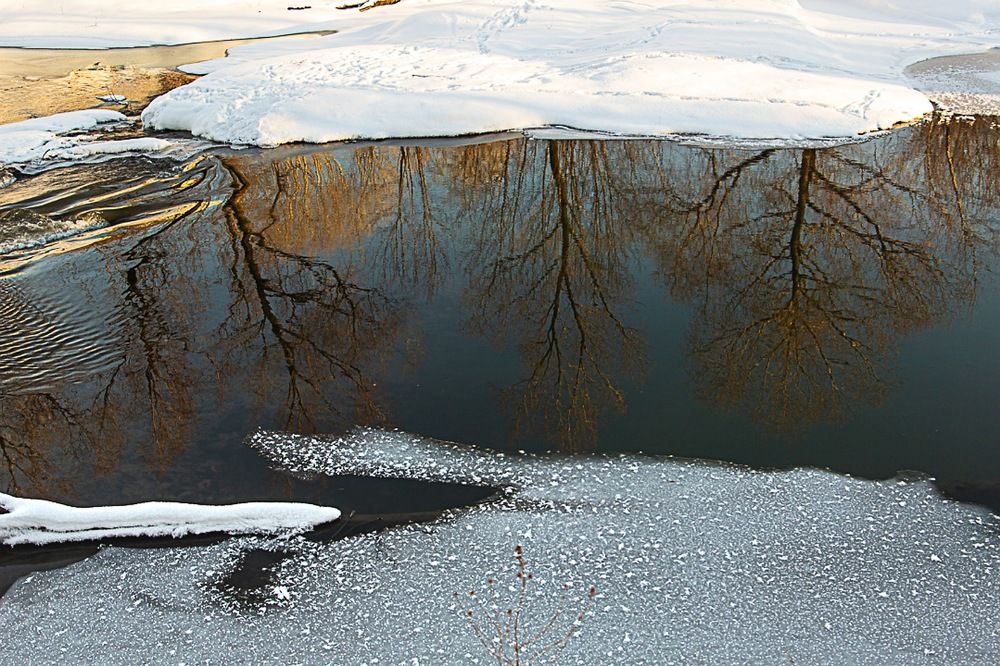 Фотография автора Екатерина Першина