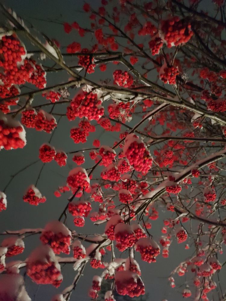 Photograph by Александр Трифанов