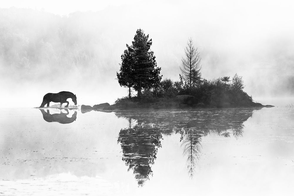 Photograph by Katarzyna Okrzesik-Mikołajek