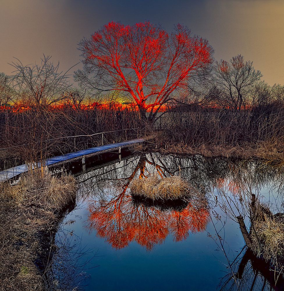 Фотография автора Stas Semashko