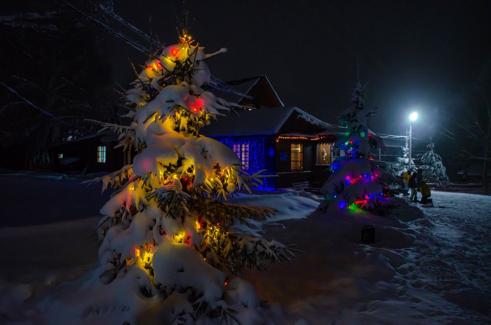 Photograph by Дмитрий Мошков