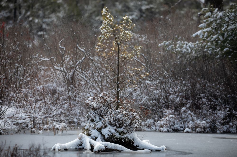 Photograph by Yaniv Abramovitz