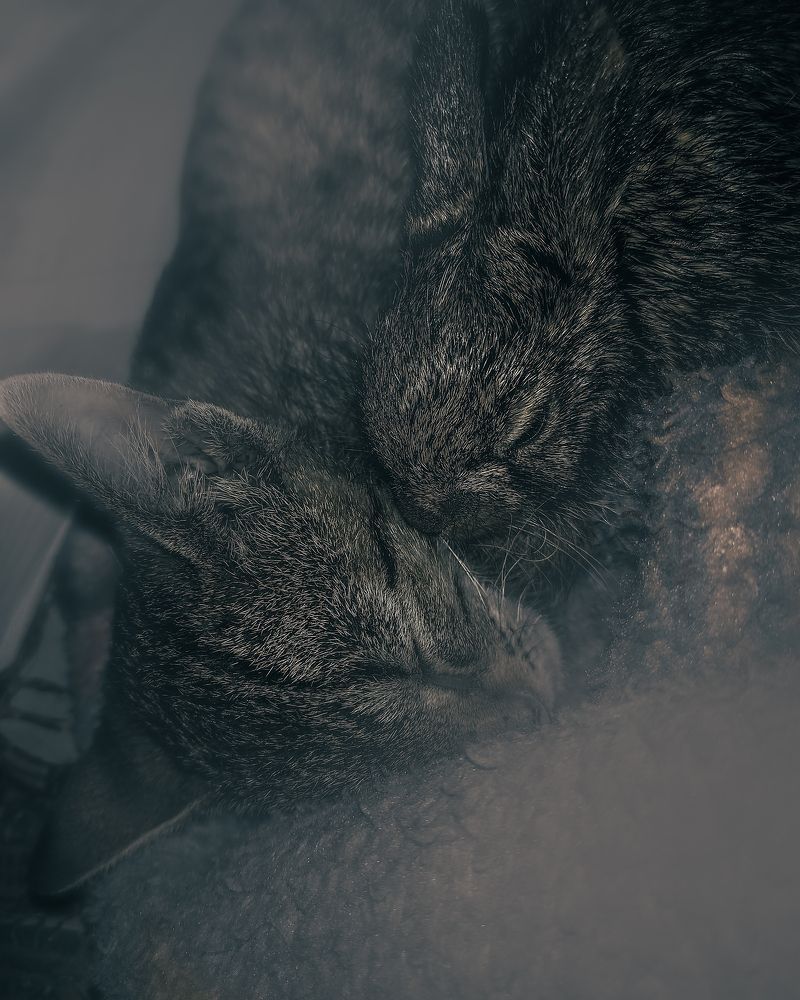 Photograph by Premkumar Karwar