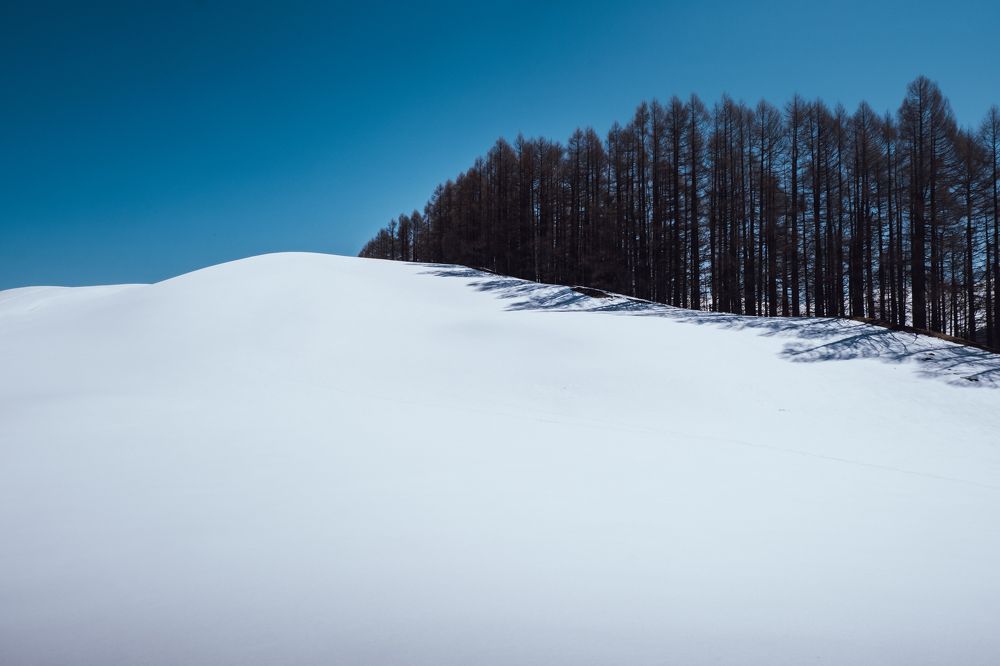 Photograph by Madalin Giurgescu