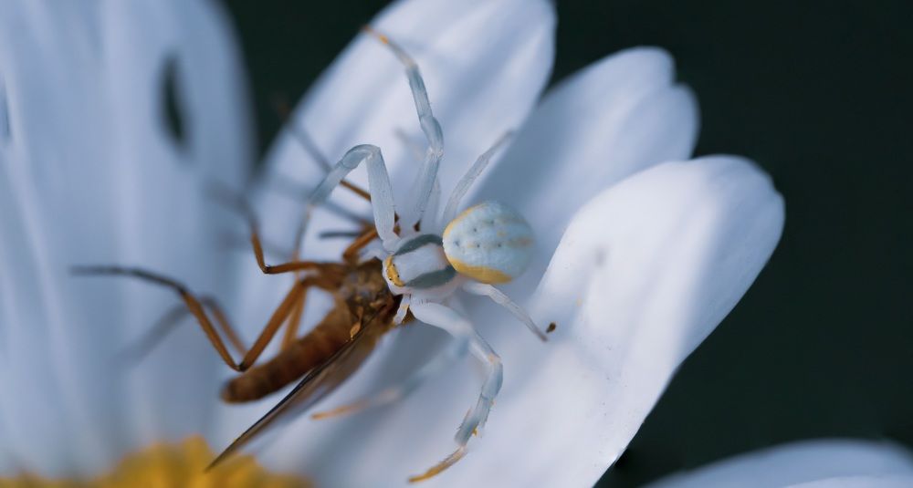 Photograph by Георгий Маршал
