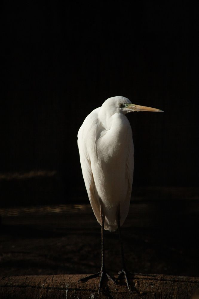 Photograph by Евгений Новицкий